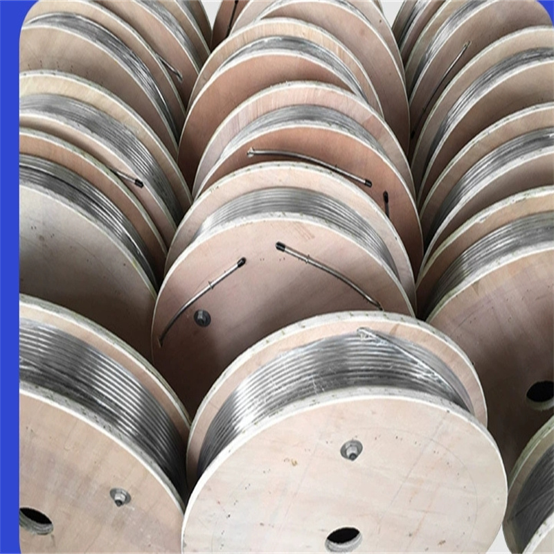 Wholesale TP 304 Capillary Tubing 2.8*0.5 mm in Coiled Manufacturer, Supplier