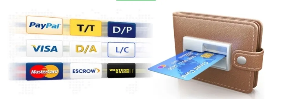 Payment Terms Support