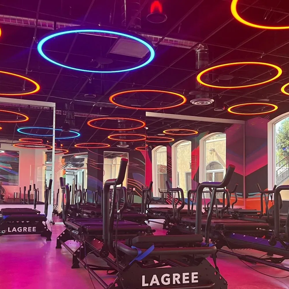 Profile Curved RGB Colorful Circular LED Chandelier Pendant Light