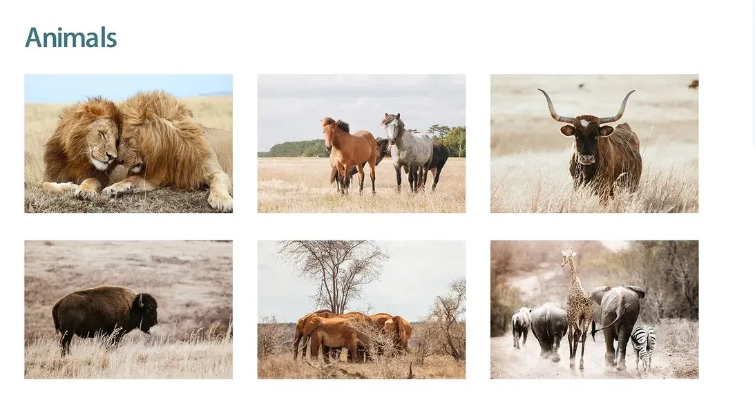 Hand Painted Wall Art