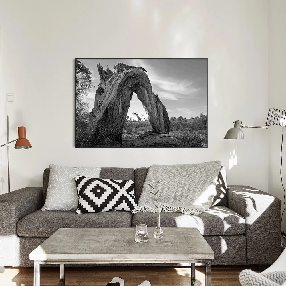 Cusutom Hot Selling Wall Art Decor Modern Photography Pictures for Home Trend Wall Decorations for Unique Decor