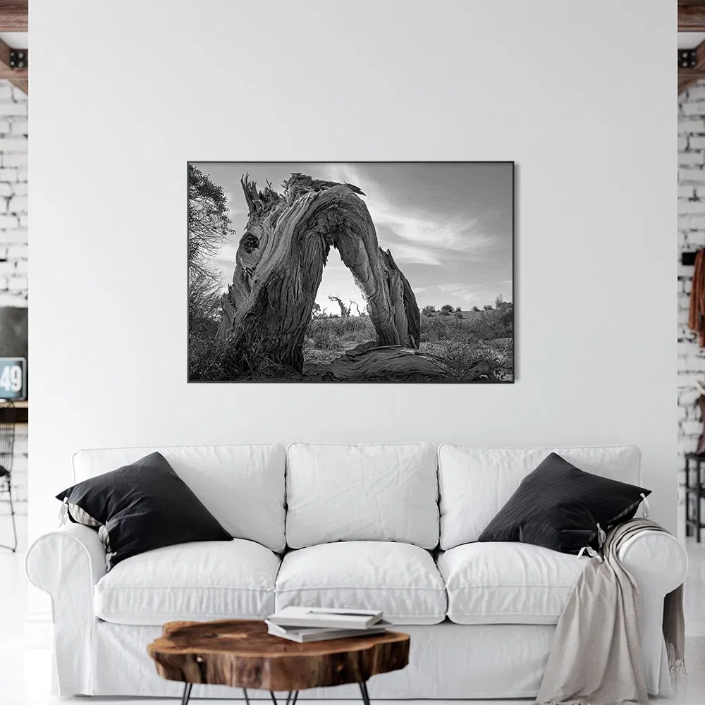 Cusutom Hot Selling Wall Art Decor Modern Photography Pictures for Home Trend Wall Decorations for Unique Decor