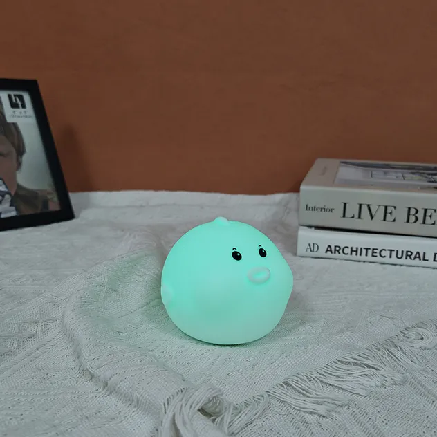 Rechargeable Night Light