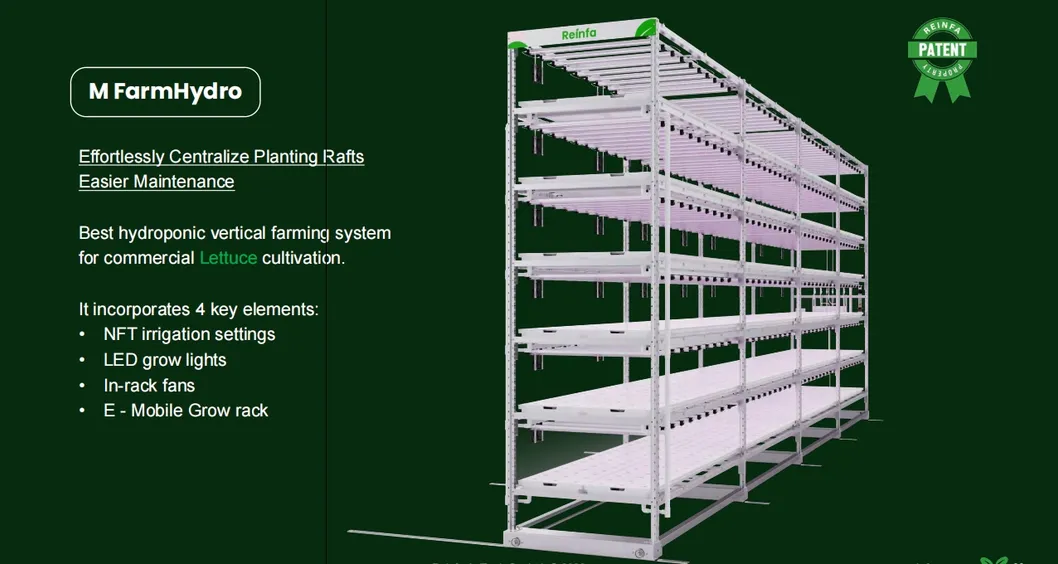 Dimension Parameters
