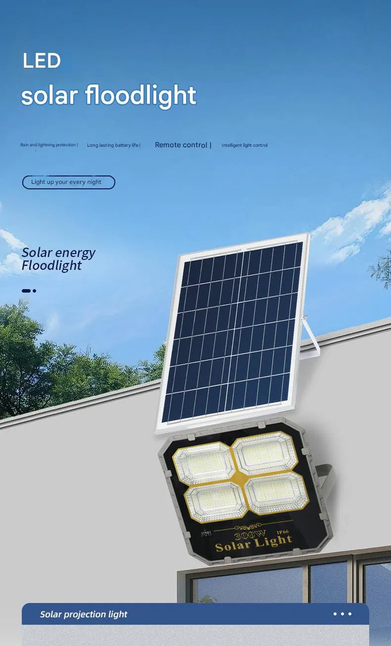 Solar Spot Light Details