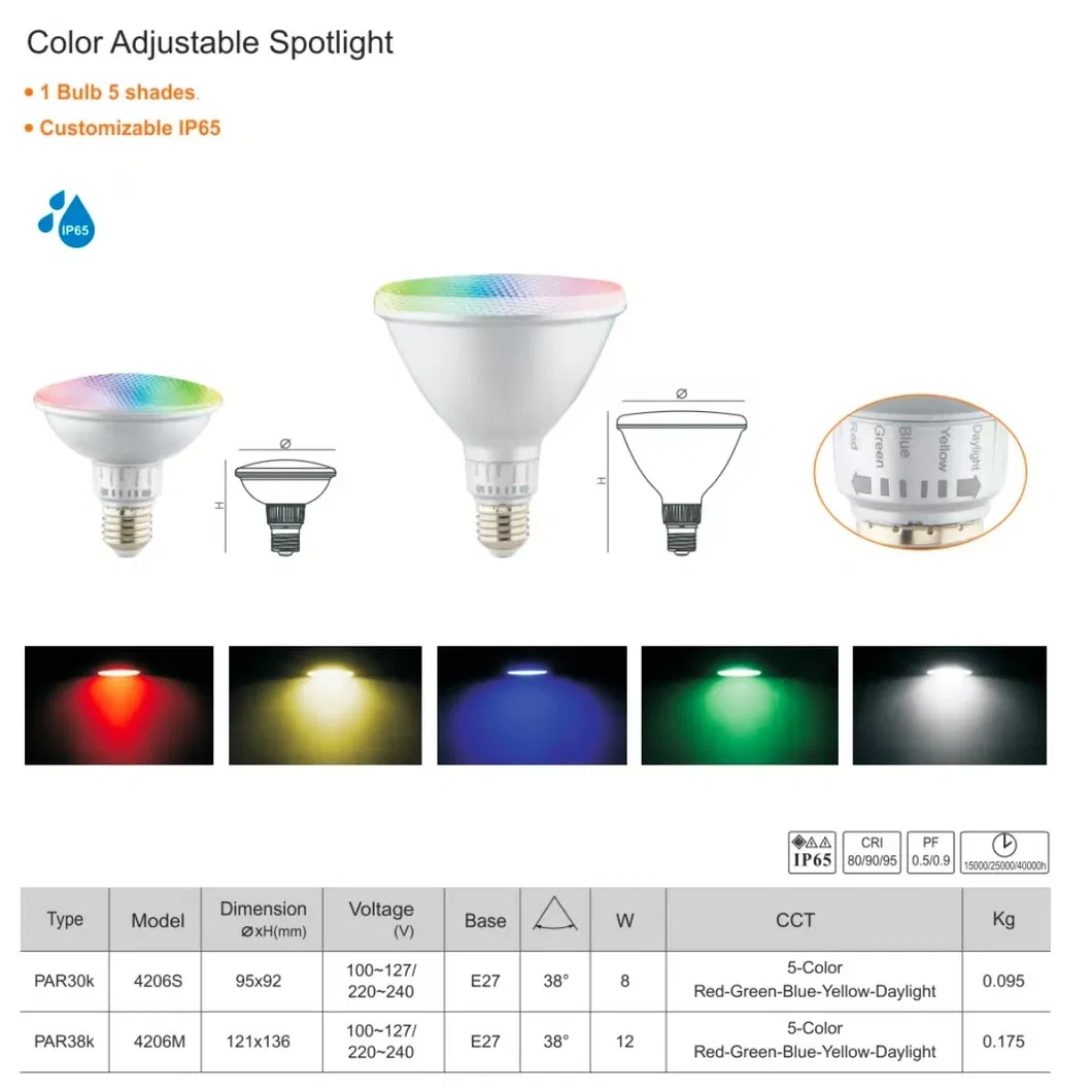 LED PAR38 Spotlight Color Adjustable