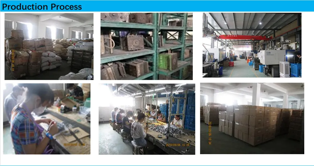 Landscape Lighting Showcase