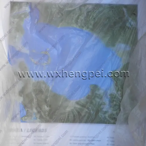 Stereoscopic Picture 4