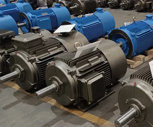 ye5 series 3 phase motorx2s