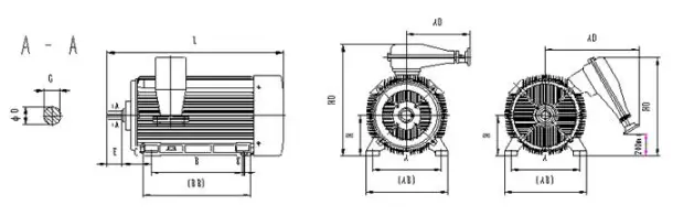Mounting and Overall Dimensions