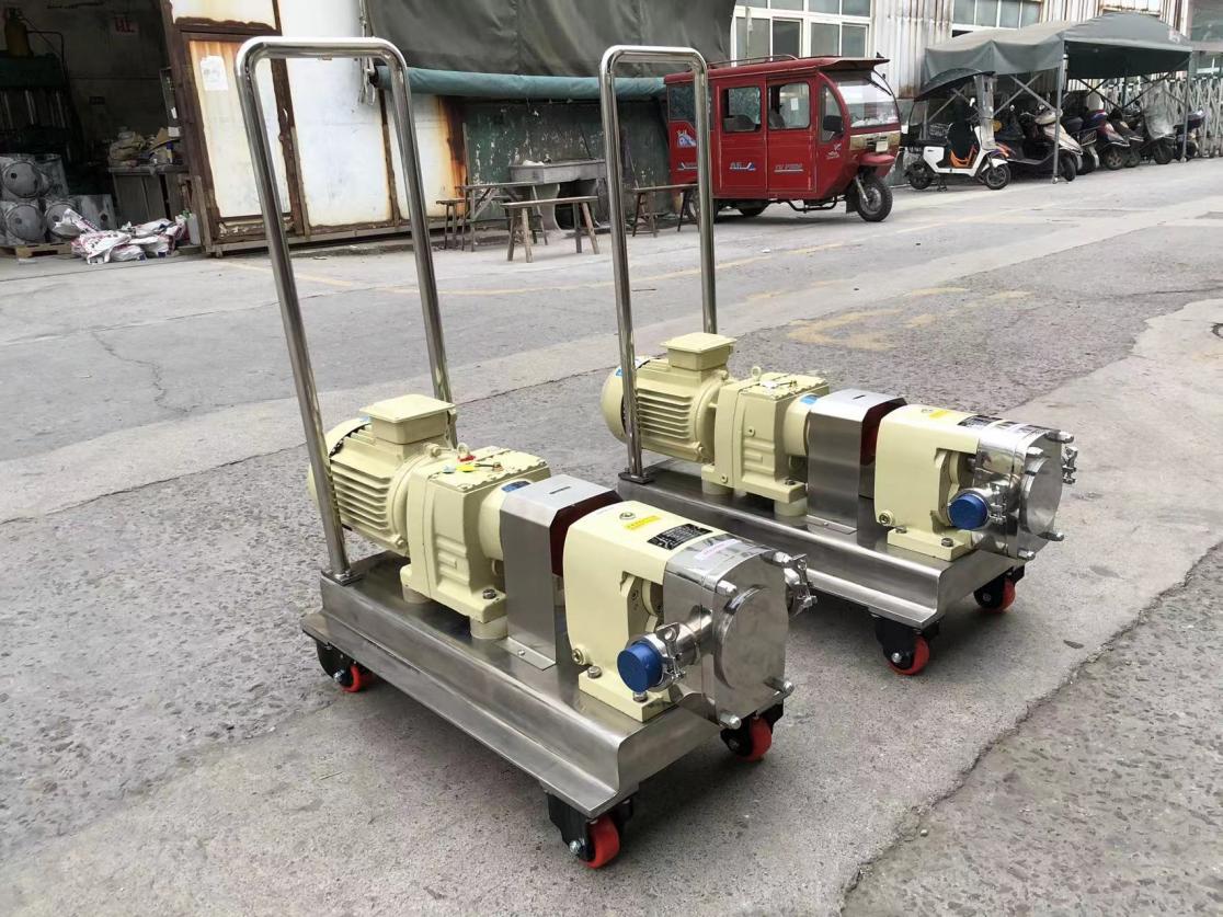 Rotor Pump 3