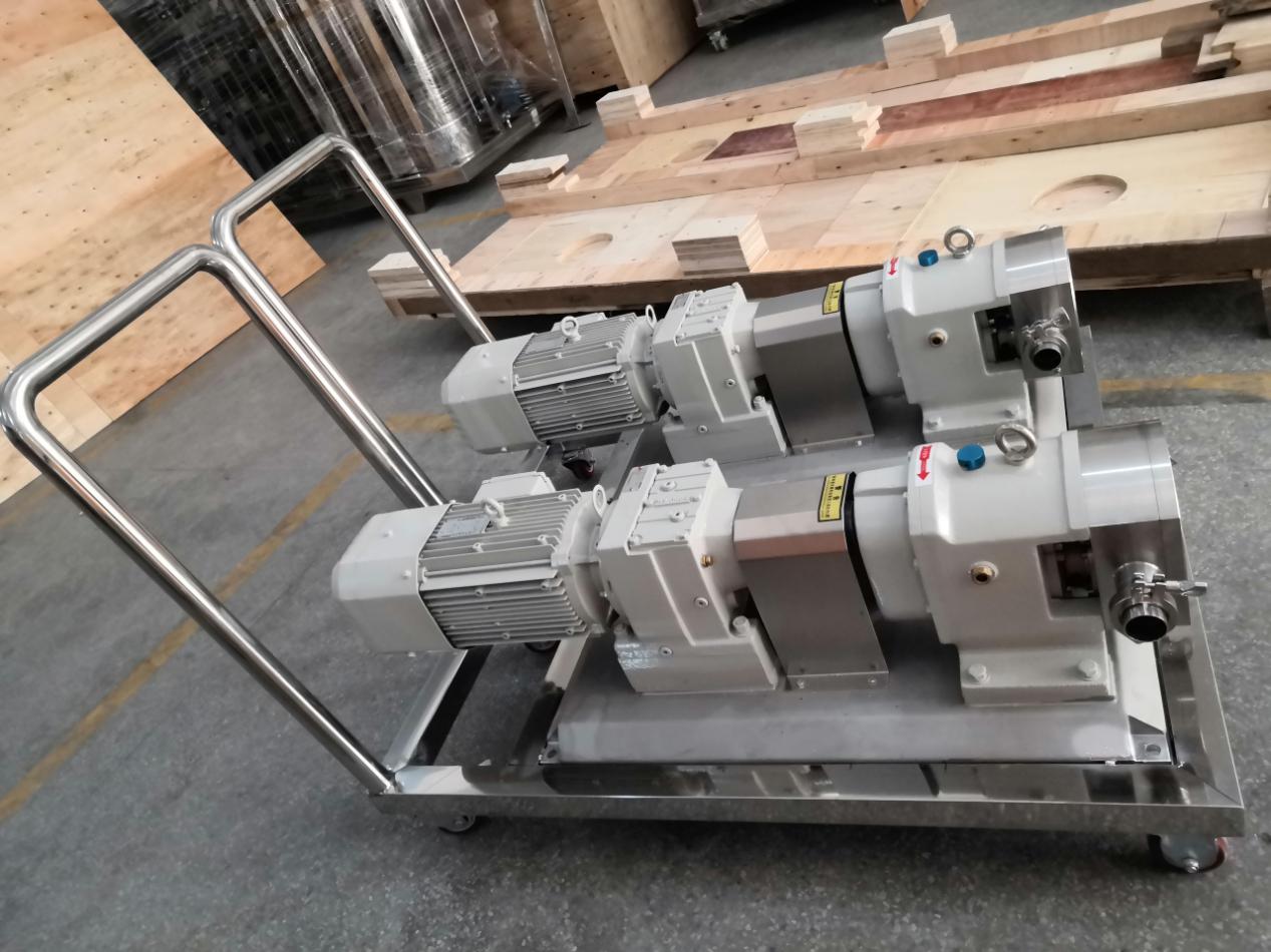 Rotor Pump 1