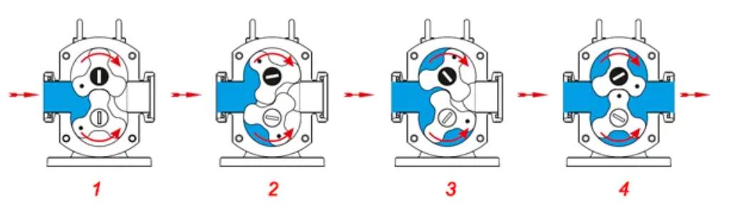 Rotor Pump 2
