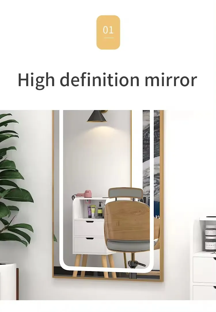 Stainless Steel Mirror