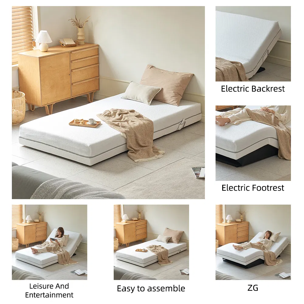 Tecforcare Electric Floor Bed Frame Smart Okin Motor Adjustable Bed Frame Costume Smart Esthetician Bed