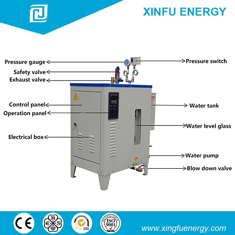 Electric steam generator view 1