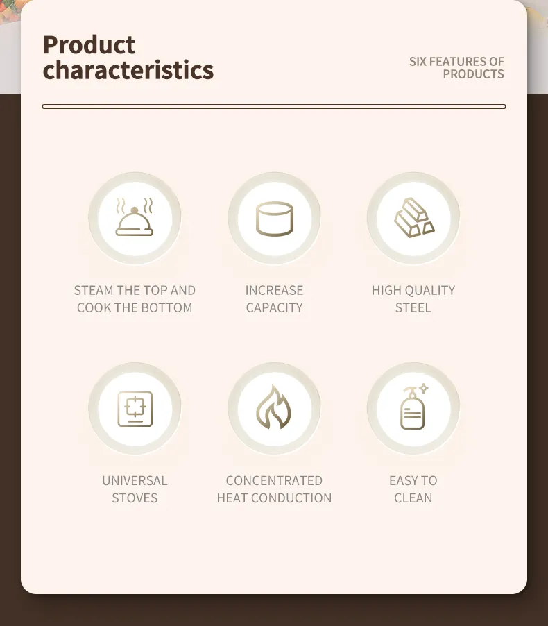 Stainless Steel Steamer Cooker