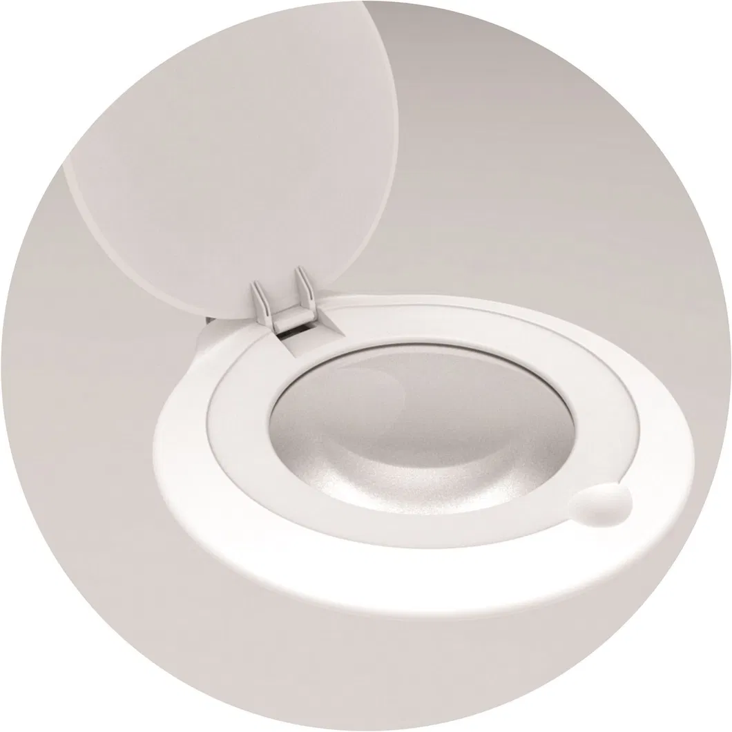 LED Beauty Lamp View 5