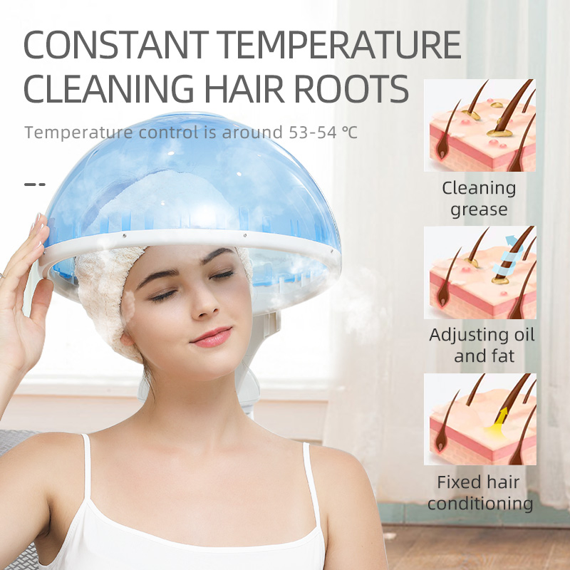 Vapor Facial Steamer and Hair Steamer Two in One EU Plug 2 in 1 Hair and Face Steamer ODM Ozone Professional