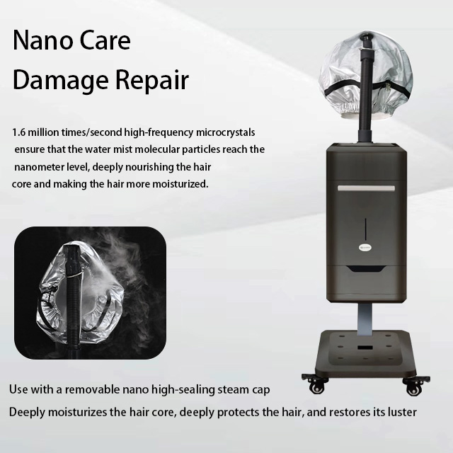 Factory Price Salon Barber Shop Professional Multi-Function Ozone SPA Care Nano Spray Micro Mist Hair Steamer Machine