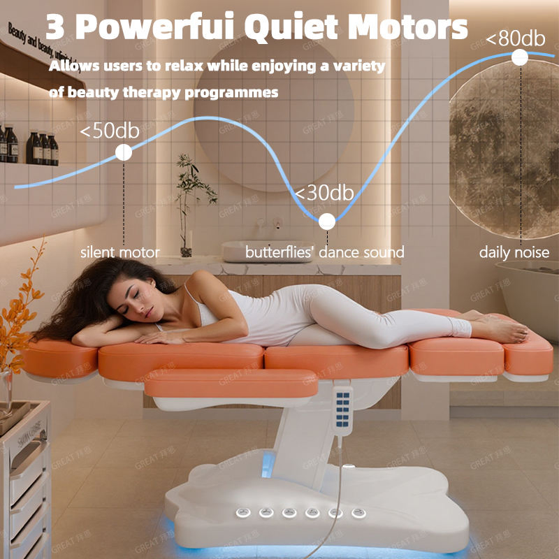 Luxury Electric Heated Facial SPA Beauty Bed Massage Table