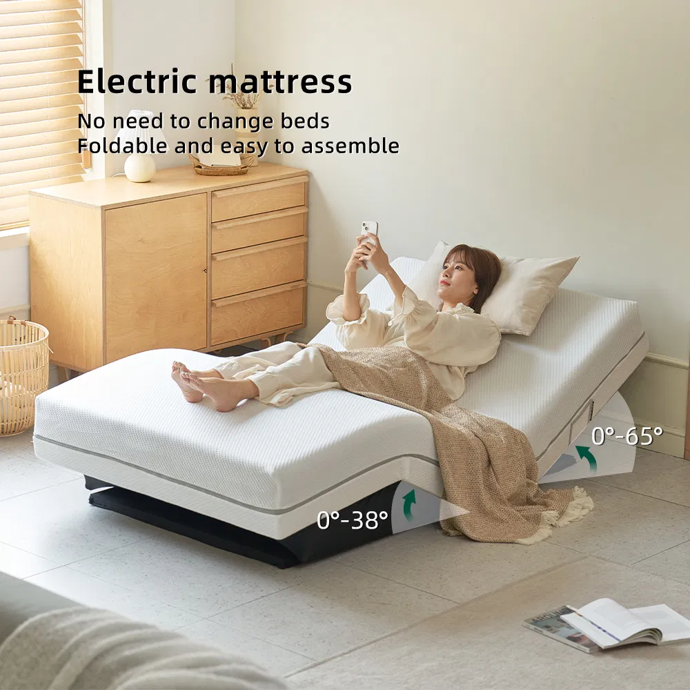Tecforcare Electric Floor Bed Frame Smart Okin Motor Adjustable Bed Frame Costume Smart Esthetician Bed