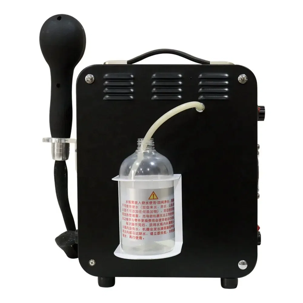 Hair Steamer Details