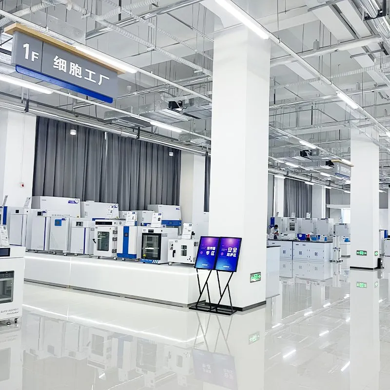 Biobase K China Ozone Sterilizer 90L Ozone UV Sterilization Cabinet for Laboratory