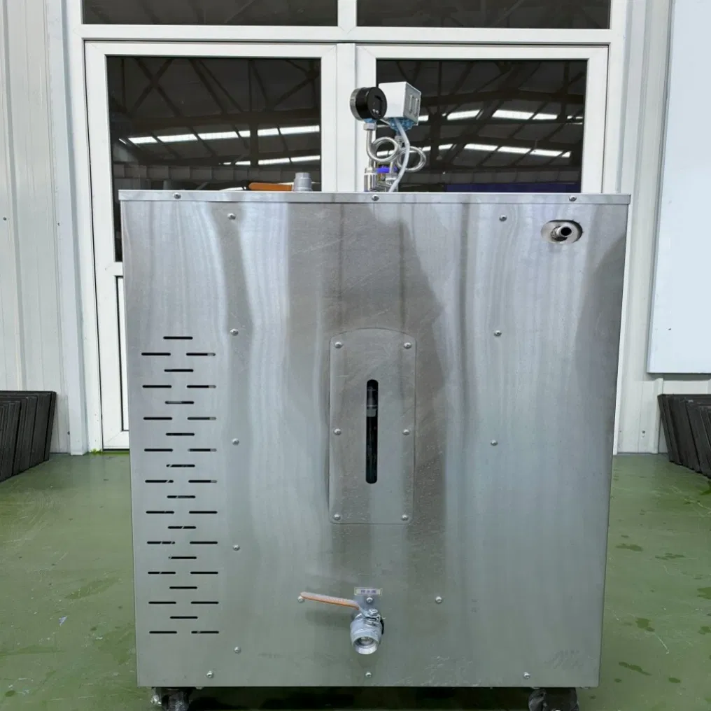 Full-Automatic PLC-Controlled Steam Boiler for Packaging Machinery Industry