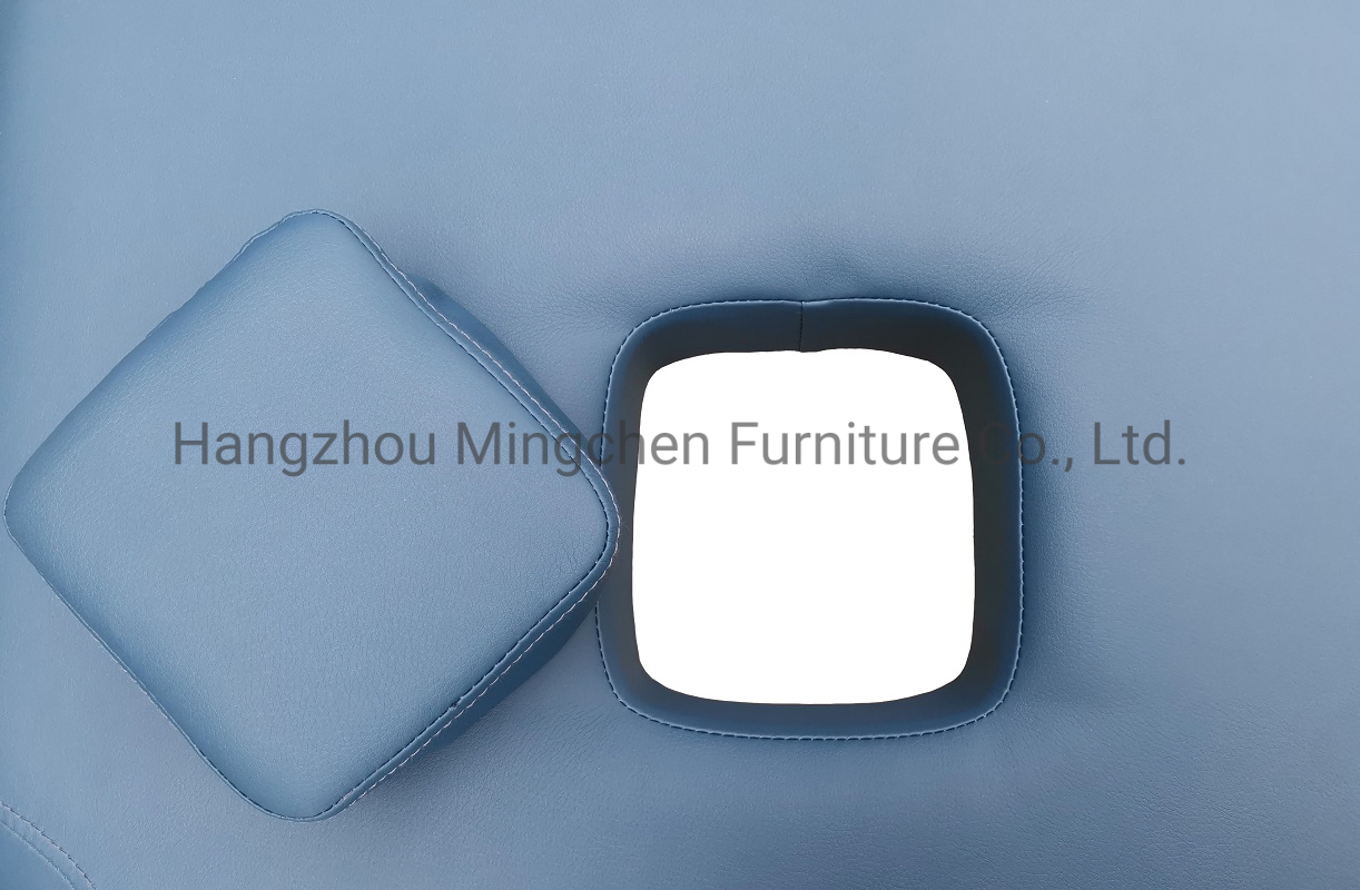 Commercial Beauty Furniture Portable Folding Massage Table with Handbag