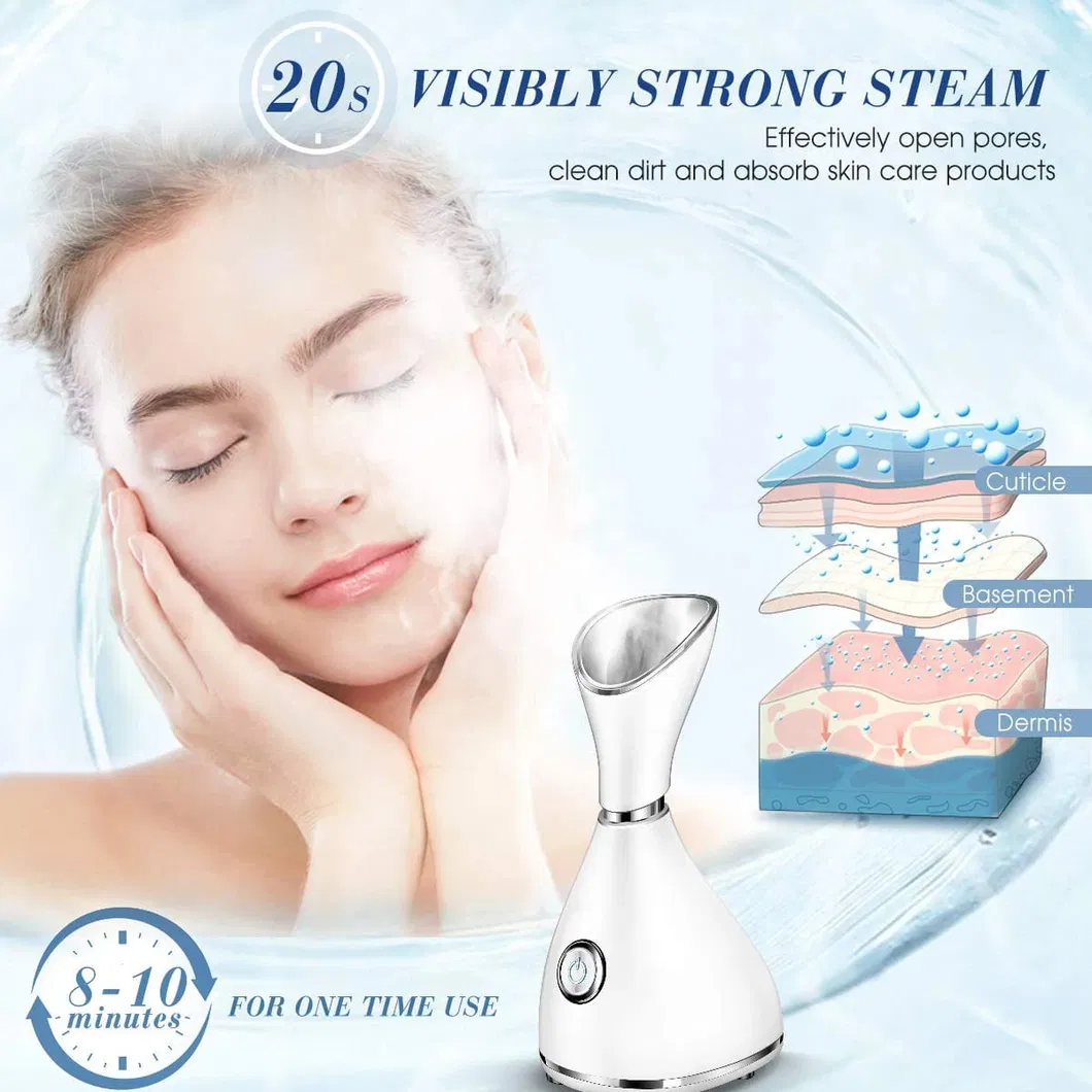 Facial Steamer Detail 1