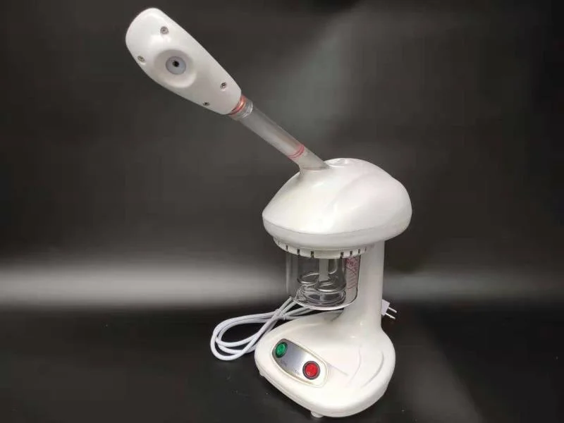 Household Hot Ionic Nano Face Steamer SPA Sauna Machine Professional Steamer Facial