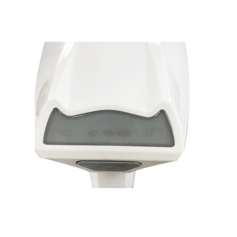 Professional Manufactures Popular 2000W Garment Steamer