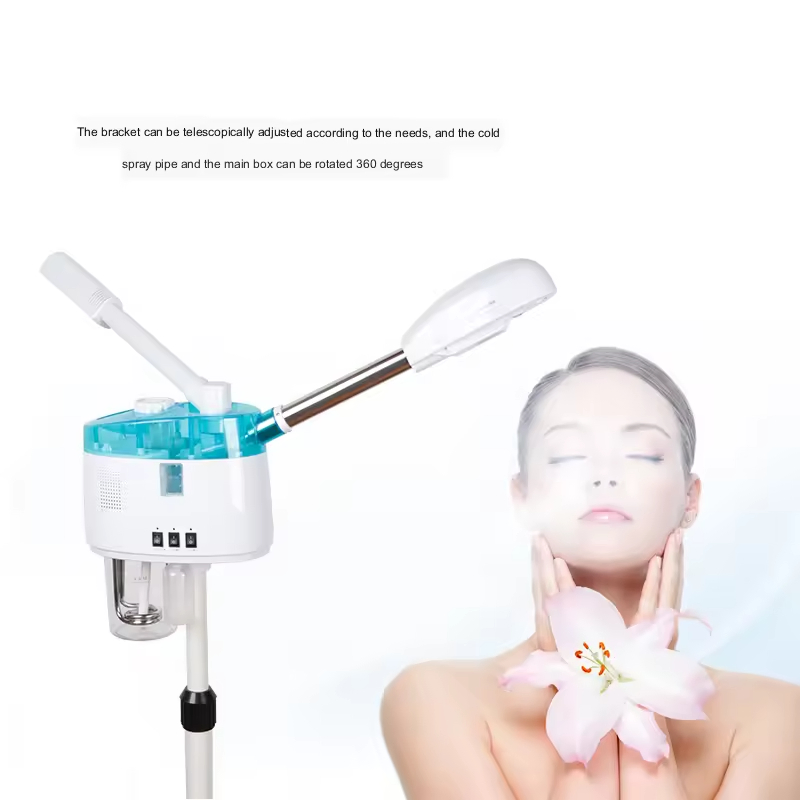 Hot Sale Personal Household SPA Hair Steamers Salon Use Hair Care Machine Electric Hair Salon Steamer