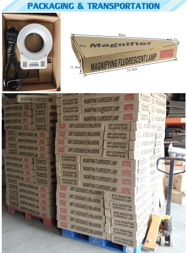 Floor Magnifying Lamp View 8