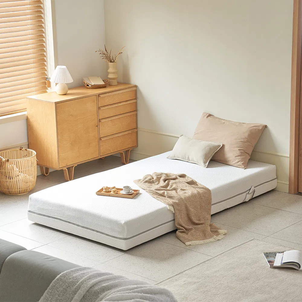 Tecforcare Electric Floor Bed Frame Smart Okin Motor Adjustable Bed Frame Costume Smart Esthetician Bed