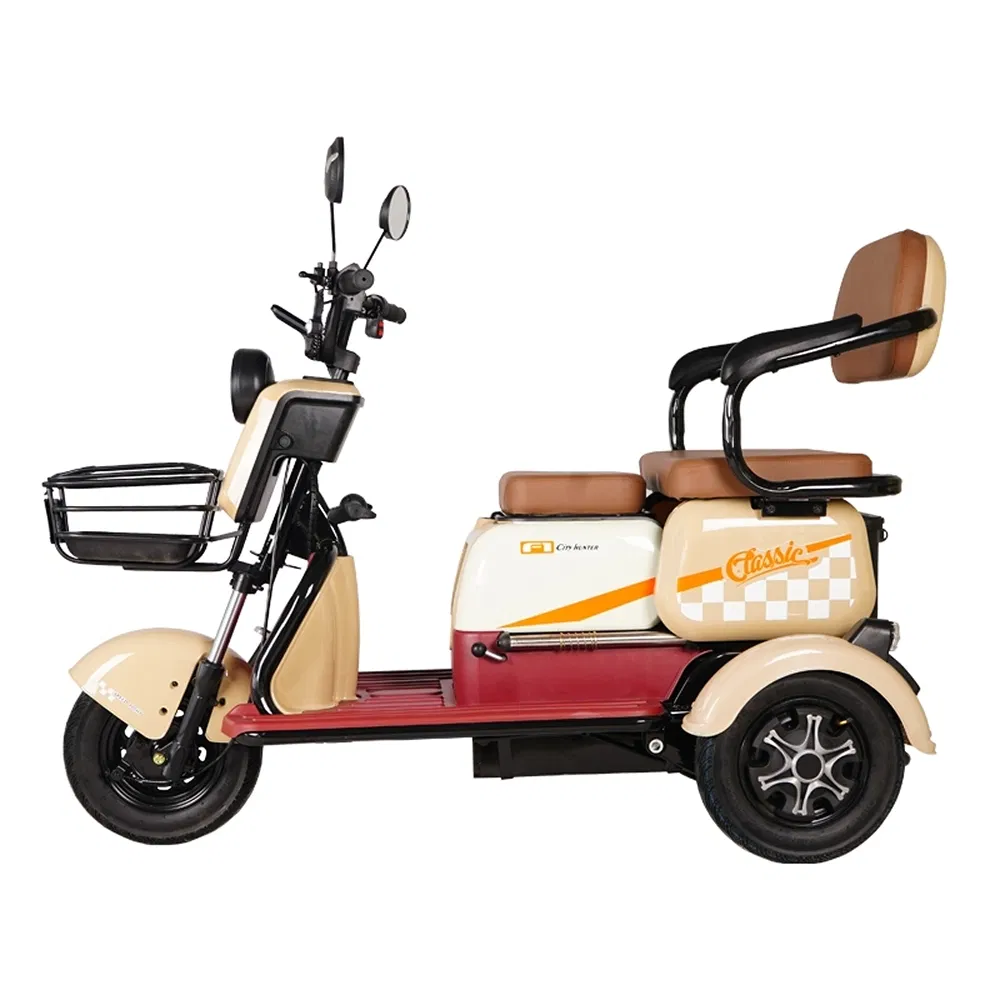 Electric Tricycle