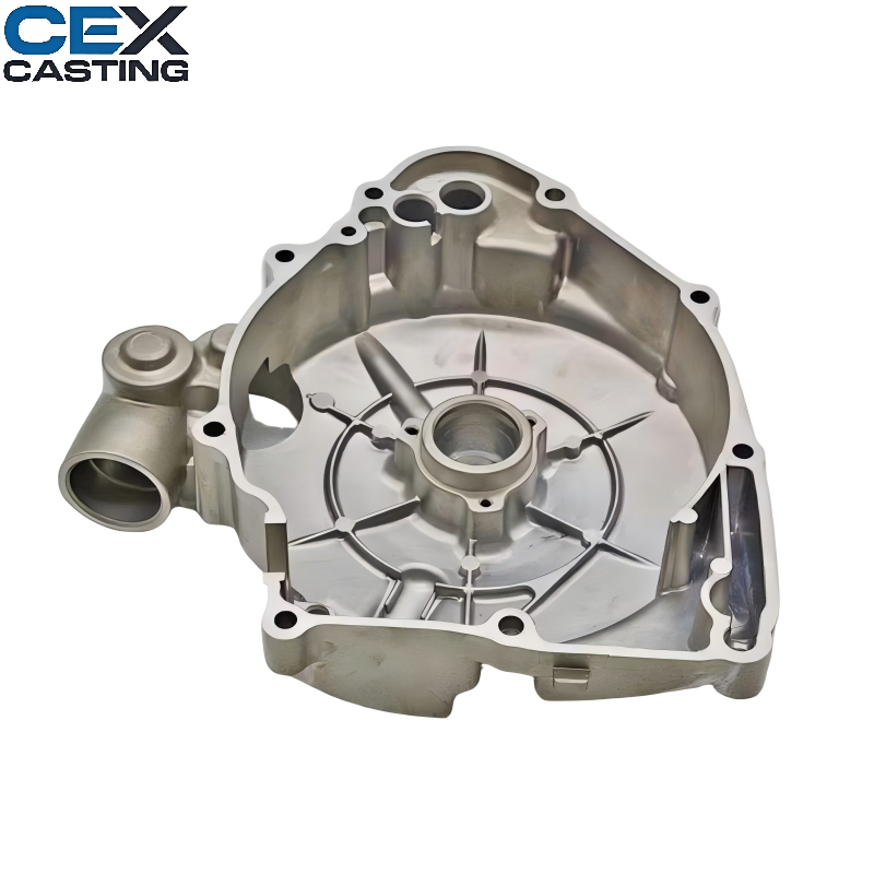 OEM Aluminum/Zinc/Stainless Steel/Iron/Brass/Aluminium Squeeze/Die Casting/Sand/Investment Casting Auto Spare Parts for Automotive/Engine/Chassis