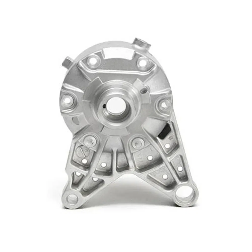 Customized Electric Bottom Door Bracket Frame Aluminium Low Pressure/Tilting Gravity Die Casting Industries with Sandblasted Aluminum Casting