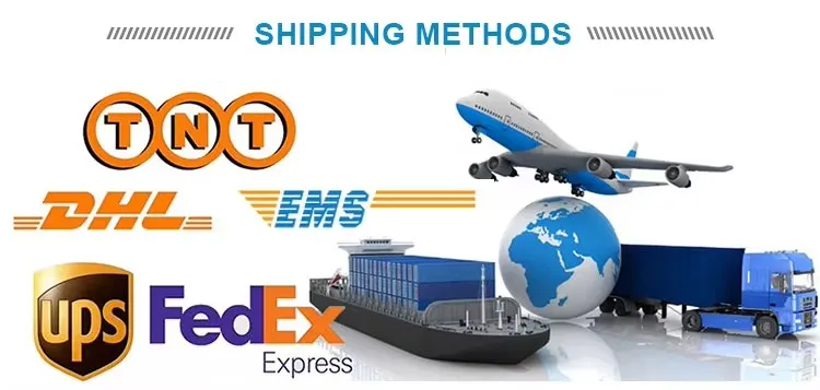 Shipping Logistics