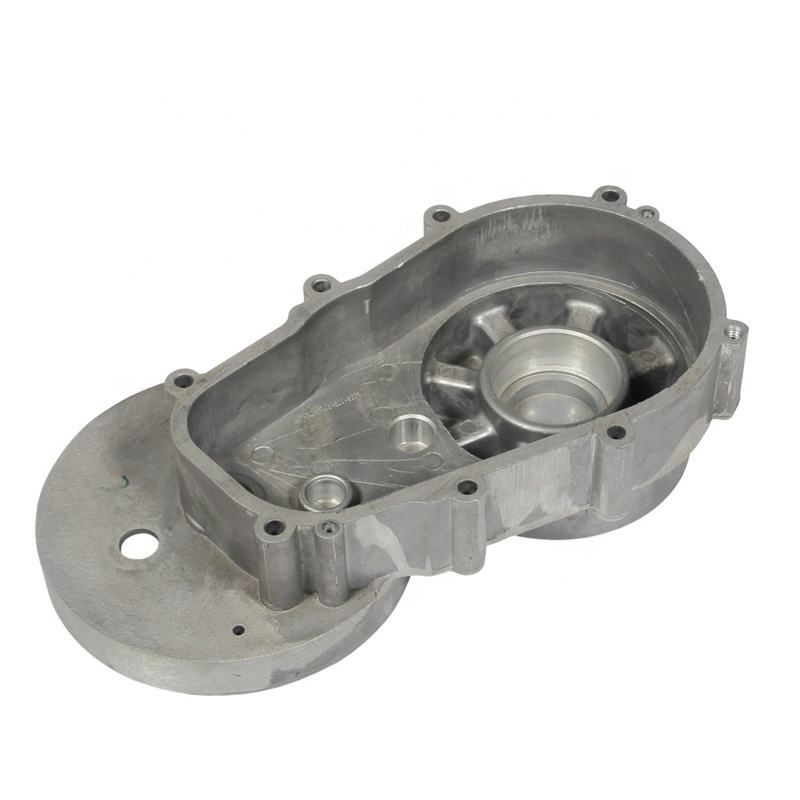Custom Precision Hot Chamber Die Casting Parts Metal Auto Zinc/Alloy/Aluminum Die Cast