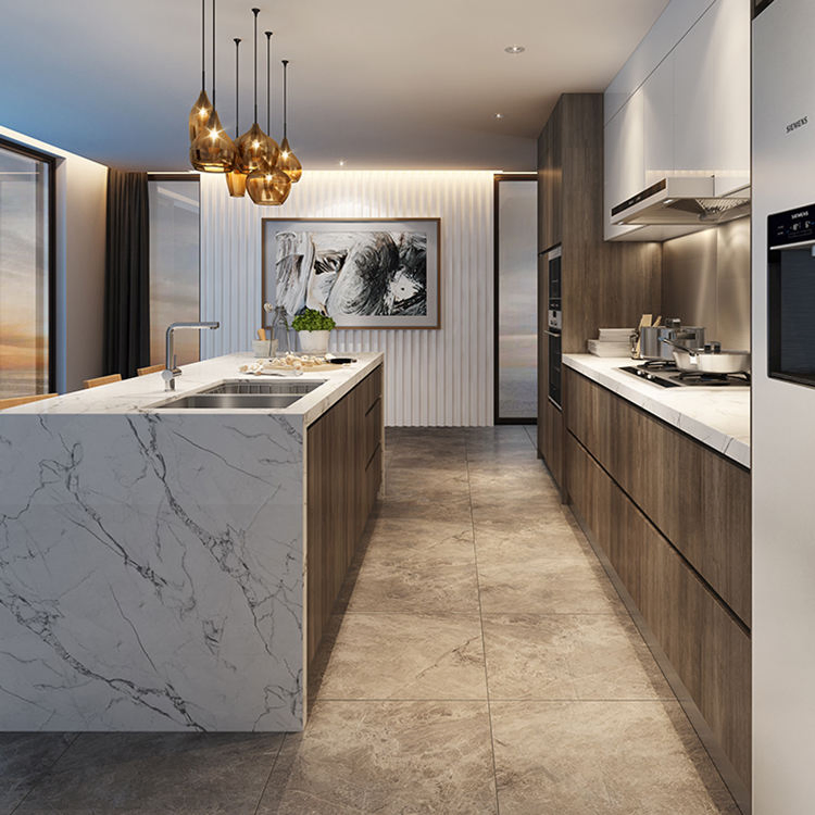 Muebles de cocina de diseño moderno para armarios de cocina de chapa de madera