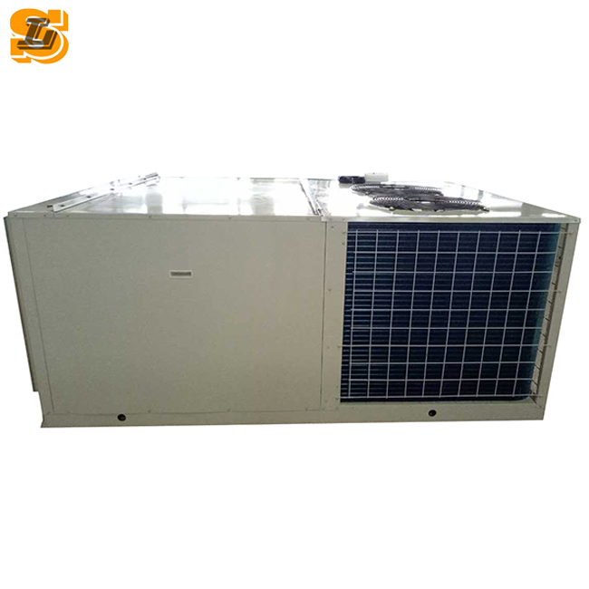 Sistema de Aire Acondicionado en Techo Eficiente en Energía para Mercados Globales