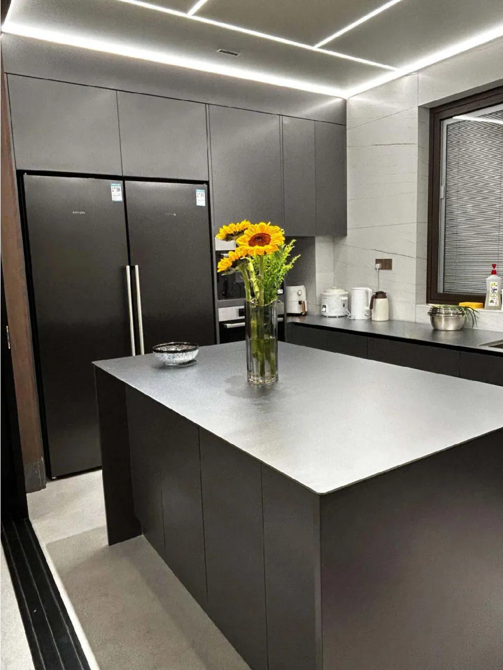 Proyecto de villa de alta gama, gabinetes de acero inoxidable personalizados con acabado pintado para isla de cocina y despensa