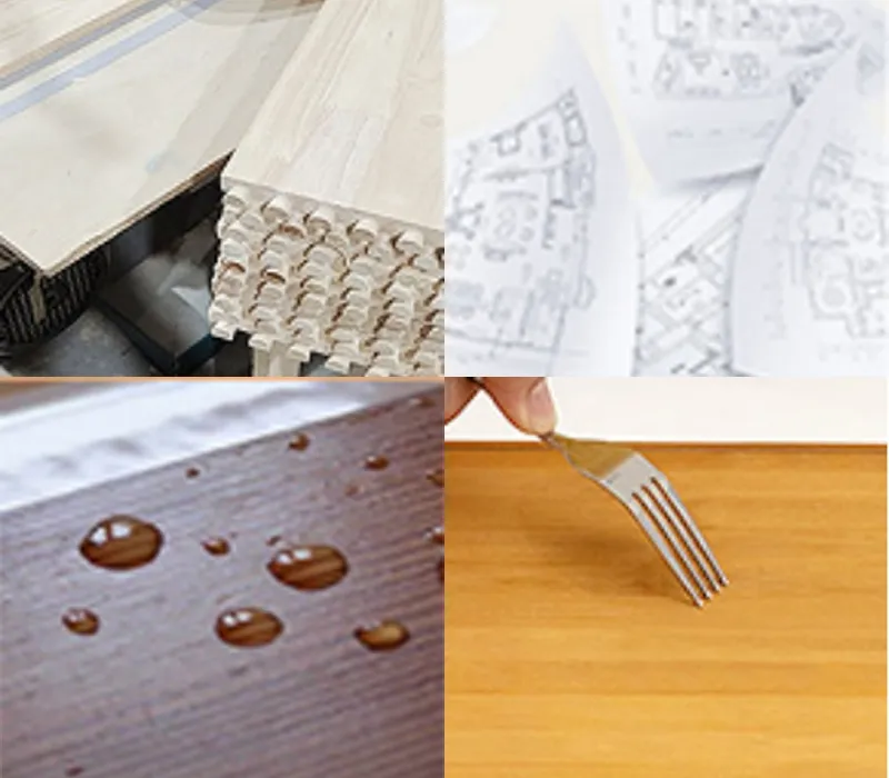 Kitchen Features