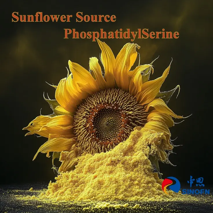 OEM Phosphatidylserine: Elevating Cognitive Health and Cellular Performance Supplier, Factory