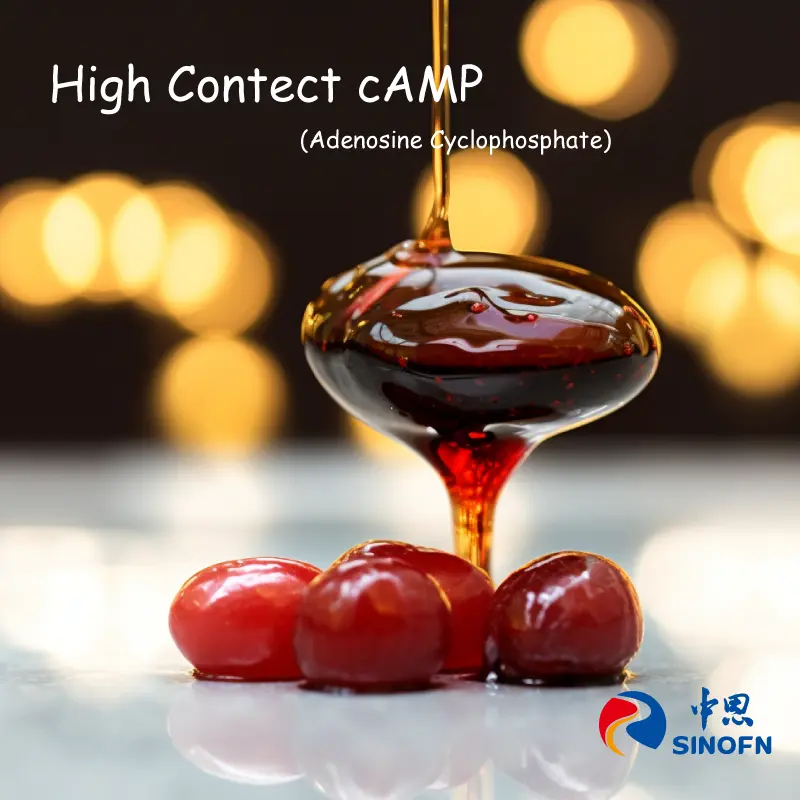 Custom Ultra-High concentrated Camp Jujube Extract Factory, Factories