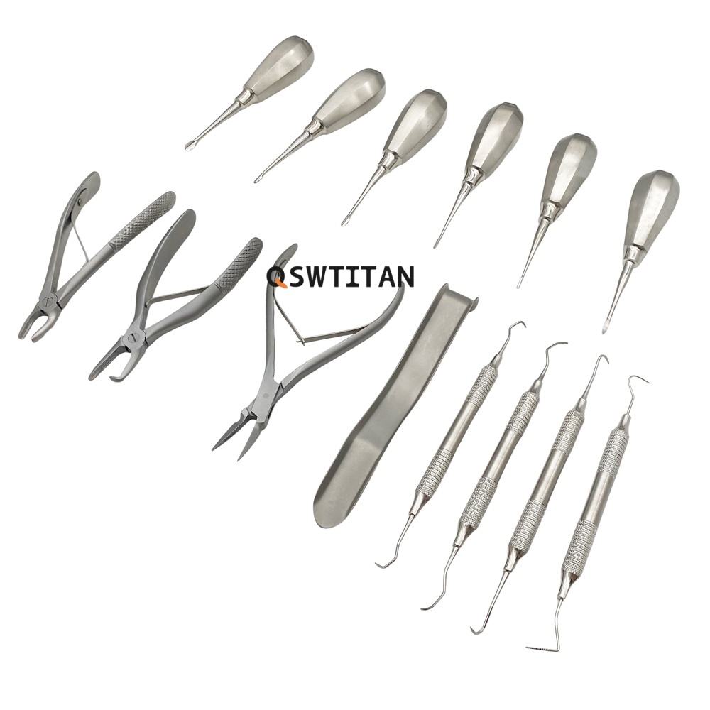Dog Tartar Remover Detailing 1