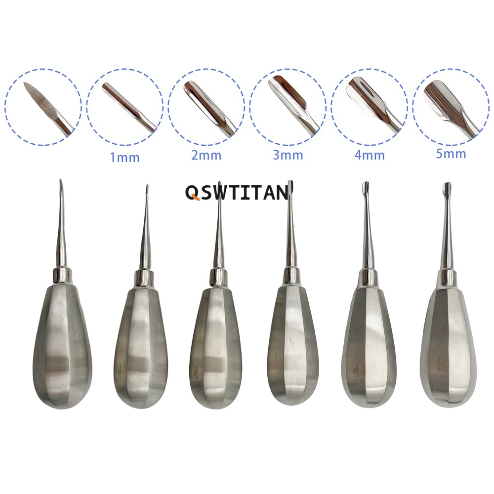 Small Animal Dentistry Winged Elevators Handle Dental Instruments Kit Veterinary Dental Surgery