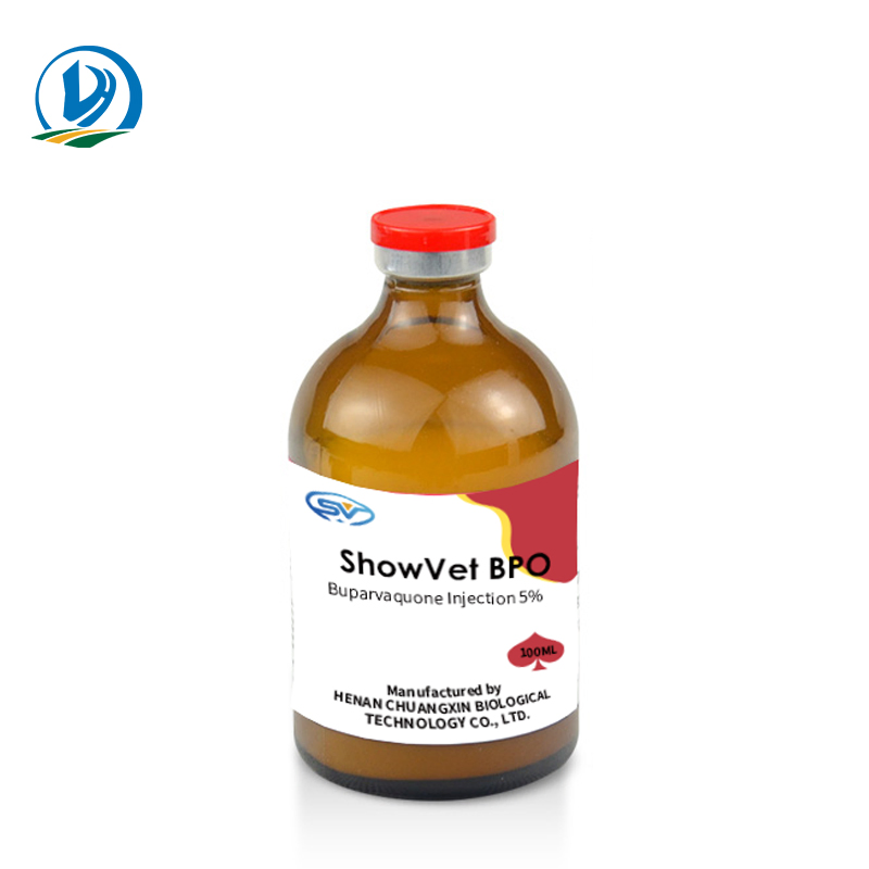 Buparvaquone Injection 5% Veterinary Medicine Drug for Cattle Calves Sheep Goats Dogs Cats Cxbt